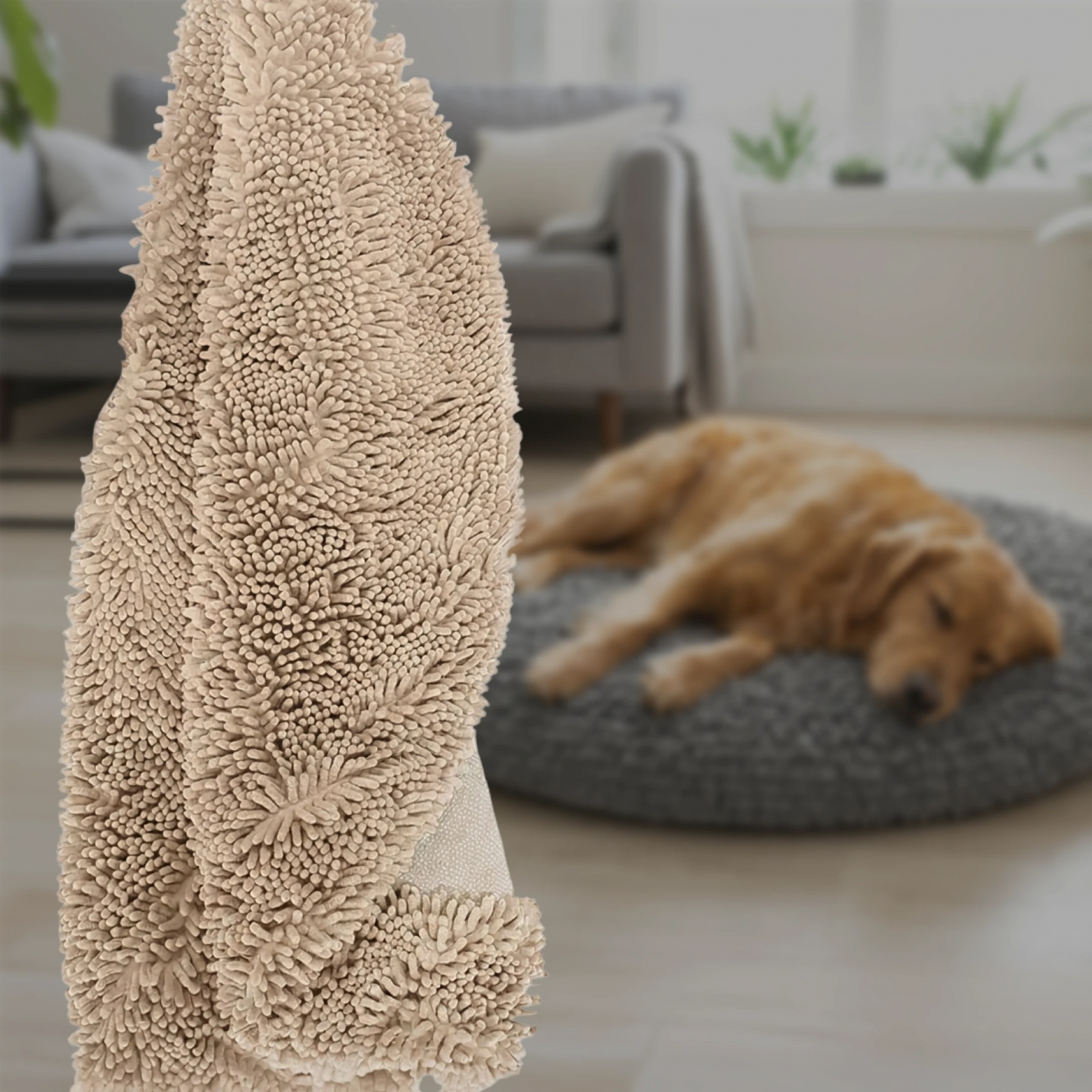 Everyday CloudRest™ Replacement Bed Cover by Everyday Pet Deals