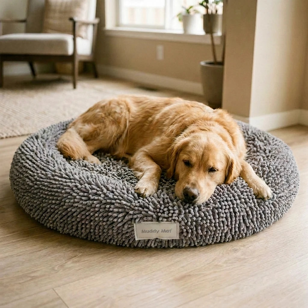 Everyday CloudRest™ Donut Bed