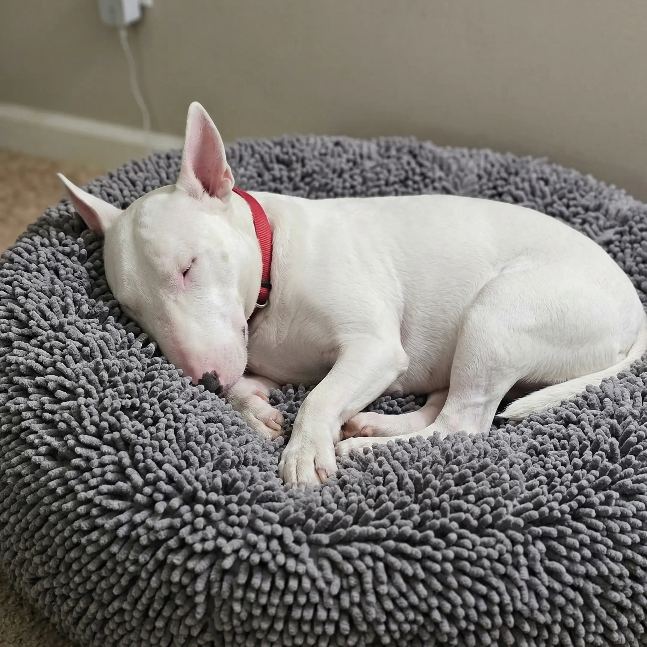 Everyday CloudRest™ K-9 Bed — view 2